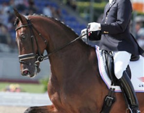 Willem Jan Schotte on Twinkel R (by Freestyle x Hamlet)