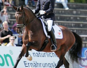 Willem Jan Schotte and Twinkel at the 2006 World Young Horse Championships :: Photo © Astrid Appels