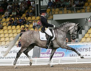 Anne Svanberg on Gicea