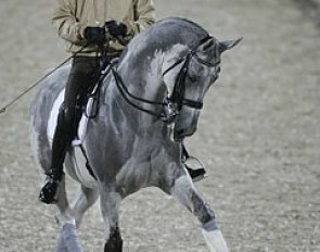 Andreas Helgstrand schooling Matine in the rain at the 2006 World Equestrian Games :: Photo © Dirk Caremans