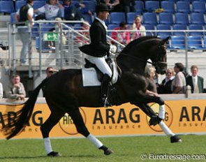 During one of the breaks, Oldenburg stallions were being presented. Here Dr. Ulf Moller on Sir Donnerhall