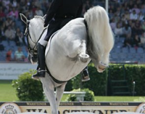 A move not allowed in FEI Dressage