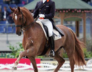 Laurens van Lieren and Hexagons Ollright (by Rubiquil x El Corona) at the 2006 World Equestrian Games :: Photo © Astrid Appels