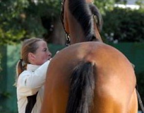 Isabell Werth preparing Satchmo for a lunge session