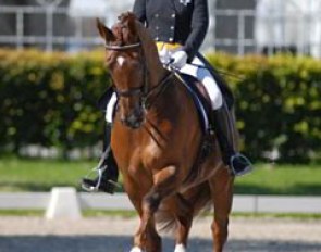 Last year Danish Joachim Thomsen and Mikado Engvang were the Aachen revelation storming to the GP Kur Finals. This year Swedish Emma Karlsson and Faradera were the break through couple. They placed 12th in the Special & 12th in the Kur