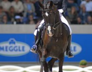 Anky van Grunsven on Salinero