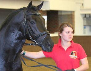Manon Hoet and her pony Top Chablis