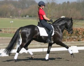Top Chablis in training at Addington
