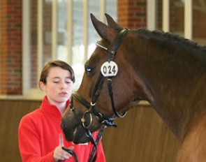 Julie van Olst and her pony Haasendonck's Sultan