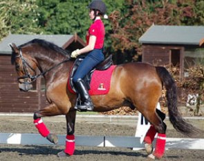 Julie van Olst on Haasendonck's Sultan