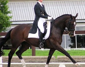 Alycia Targa on Neversfelde Kudu
