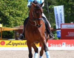 Nadine Capellmann schooling Lancelot