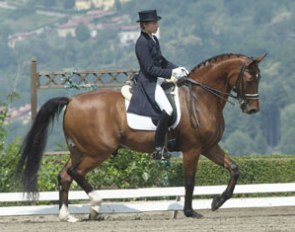 Maté Garai on the Hanoverian gelding Romero (by Ritual)