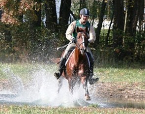 12th: Bravo (by Bugatti Hilltop x Gauguin de Lully) - owned by Chris E. Misita, Cloverdale, CA