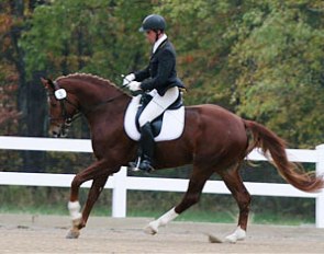 Sixth: Furst Impression, a 2003 Fuerst Heinrich/Regazonni stallion owned by Angela Barilar, Chestertown, MD