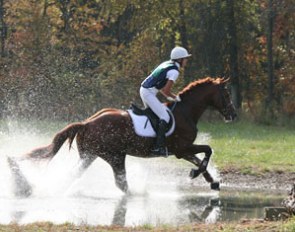 Tenth: Highlight, a 2004 His Highness/Lauries Crusador xx stallion owned by Oak Hill Ranch, Folsom, LA