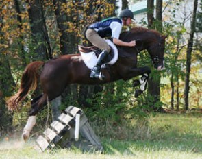 Third place: Rapture R (Rotspon x Donnerhall), bred and owned by Ken and Roberta Falk of Lexington, VA