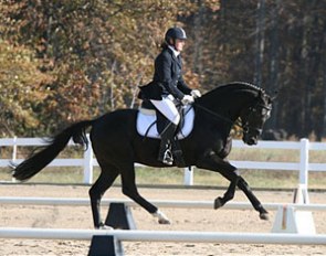 11th: Vinca (by Metall- x Idocus) - owned by Virginia Craley and Ginger Parker, Glen Rock, PA
