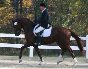 Second place: Hanoverian stallion Worthy Opponent (Waikiki x Hohenstein) - owned by Dana Estes of Livermore, CA