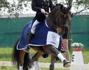 Tom Berg and Robin win the young riders' classes at the 2007 CDI-YR Bonn :: Photo © Barbara Schnell