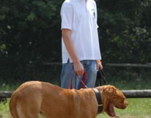 Sönke Rothenberger walking his big Bordeaux dog