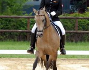 Nadine Surmann on Deshima