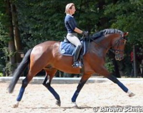 Katja Camp and the lovely Kasimir doing a training round -- unfortunately, the Trakehner injured himself in his stall half an hour after these shots were taken, and the Championat was over for him