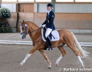 Annabel Frenzen on Der Harlekin B