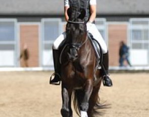 The Danish Christine Möller used to work at Gestüt Wiesenhof. Now she's riding Zenith, a five-year-old mare by Monteverdi