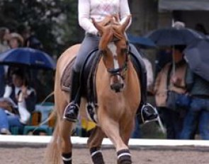 Michelle Schulmerig on the reserve champion Der Schlaue Fuchs
