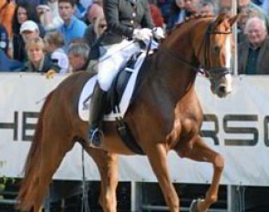 From the ninth place in the final qualification Suss and Diamantenborse marched right through to the bronze medal, and would have done even better, had Jessica not had a slight case of nerves and taken a wrong turn during the final.