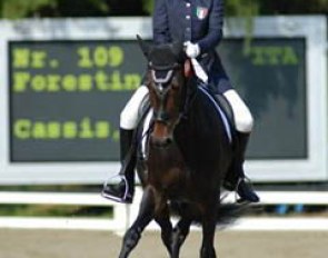 Italian Carolina Cassis on Bundeschampion Forestina