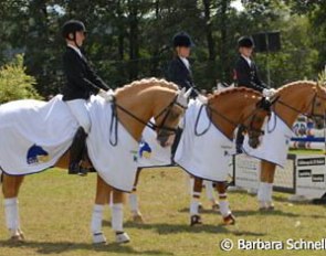 The German pony team