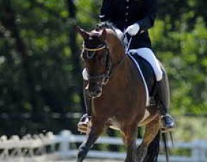 Emily Harris on Don Joshi