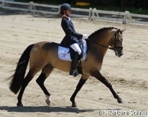 Angela Krooswijk on the German Reitpony stallion Power and Paint