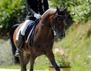 Italian Alessia Pignatti on Scampolo