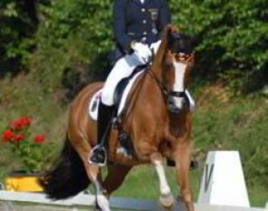 Sanneke Rothenberger and Konrad won the consolation finals at the 2007 European Pony Championships in Freudenberg