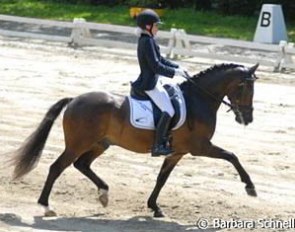 Julie van Olst and Haasendonck's Sultan