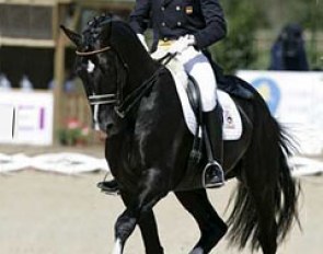 Jordi Domingo and Prestige at the 2007 European Championships in Turin :: Photo © Dirk Caremans