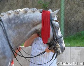 Cool down for Hohenstaufen after winning Young Riders individual test gold