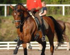Hungarian junior Mate Garai on Romero. This was the first year that Hungaria was able to send a full team of junior riders to the European Championships.