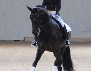 Helen Langehanenberg and her Burgpokal finalist Responsible were one of the test objects