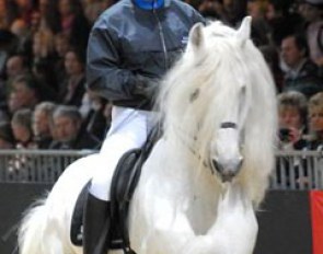 Sylvia Parduhn and her rare white Friesian Nero :: Photo © Barbara Schnell