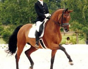 Jessica Michel on Riwera