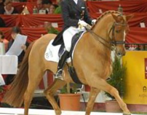 Carola Koppelmann on Holger Schmezer's Trakehner Hinnerk TSF
