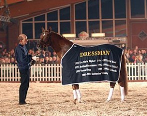 Dressman I retired to stud