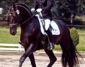 Ellen Bodenkamp on Donner Hit