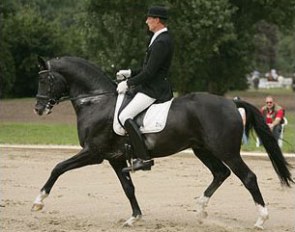 Karolinger at the 2007 Trakehner Championships
