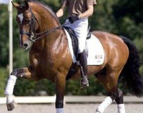 Edward Gal on Prestige VDL