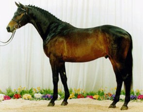 Blue Hors Hertug